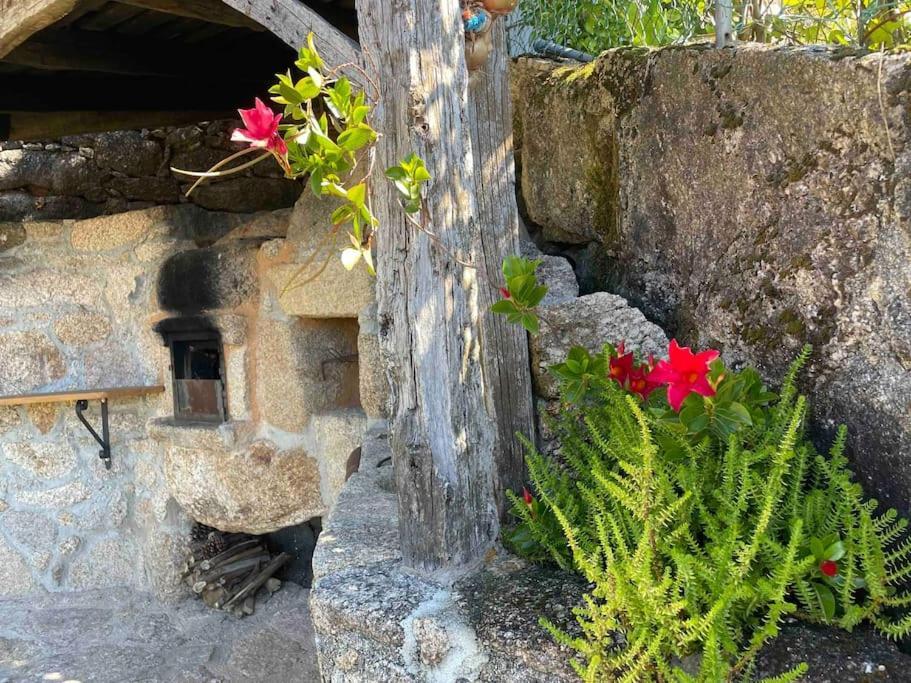Вілла Petra'S House Жереш Екстер'єр фото